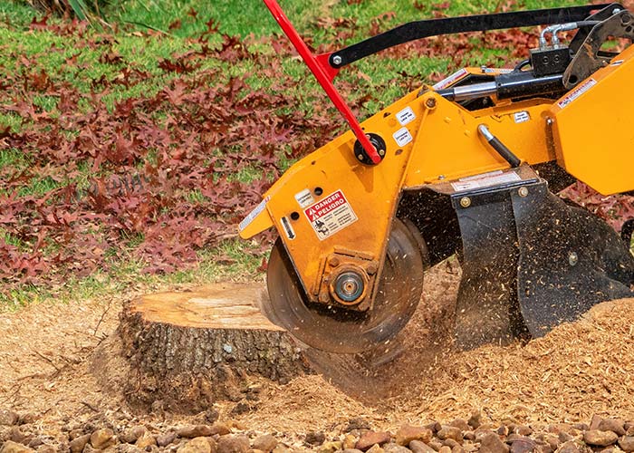 stump grinding in the Florida Panhandle