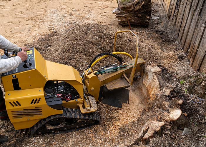Sterling Tree Service Stump Grinding